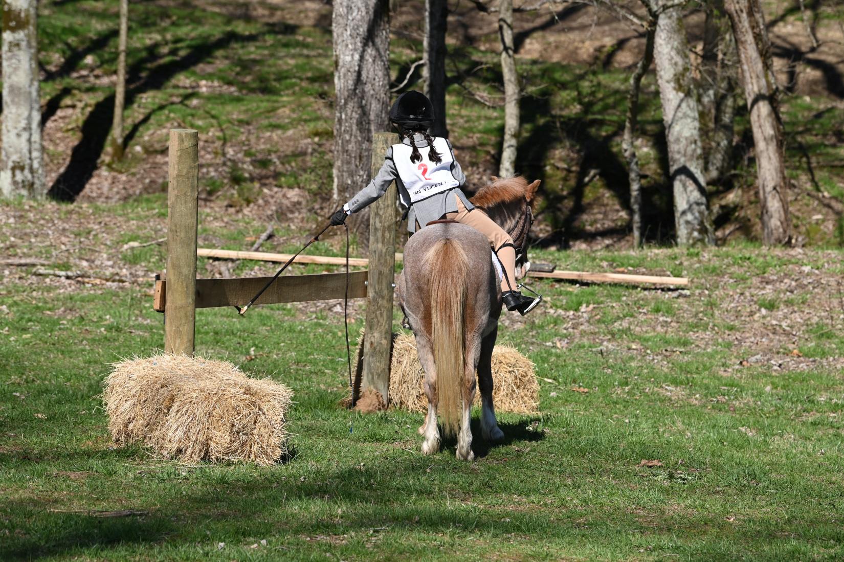 jfhc 3 Photo by Equestrian Influence