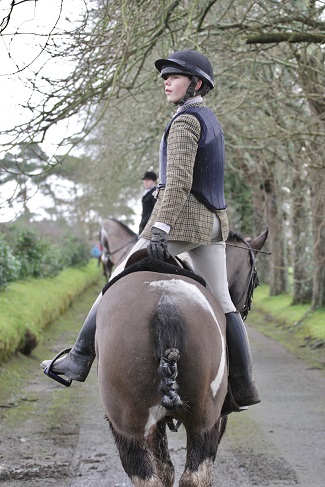 limerick.hugh lillingston.power