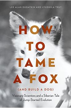 how to tame a fox