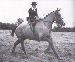 outrageous fortune.lady ampthill.limerick.frank meads