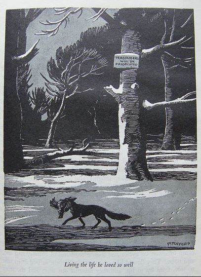 wild lone