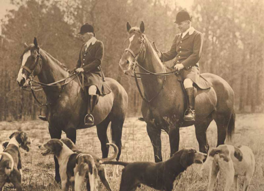 louise and thomas hitchcock.aiken hounds