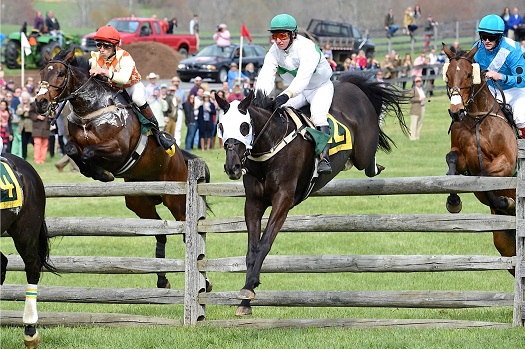mhc15.fence13.lees