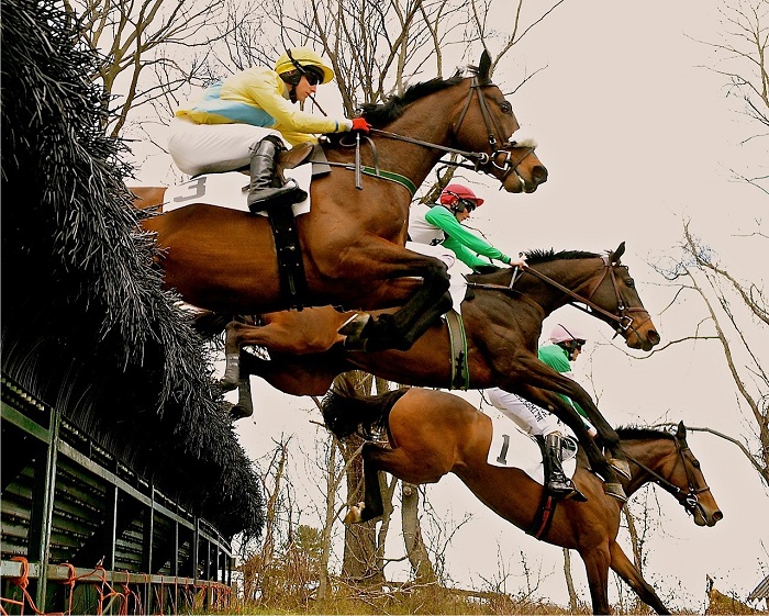 och18.maiden hurdle.lees