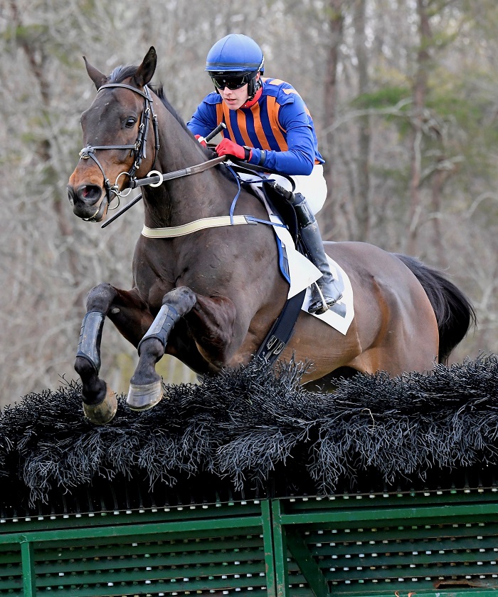 odhptp22.am nov hurdle.lees