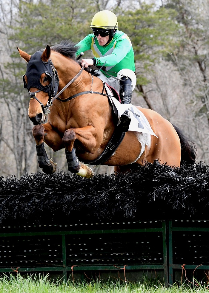 odhptp22.maiden hurdle2.lees