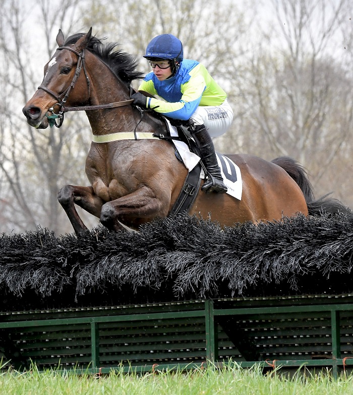 odhptp22maiden hurdle3.lees