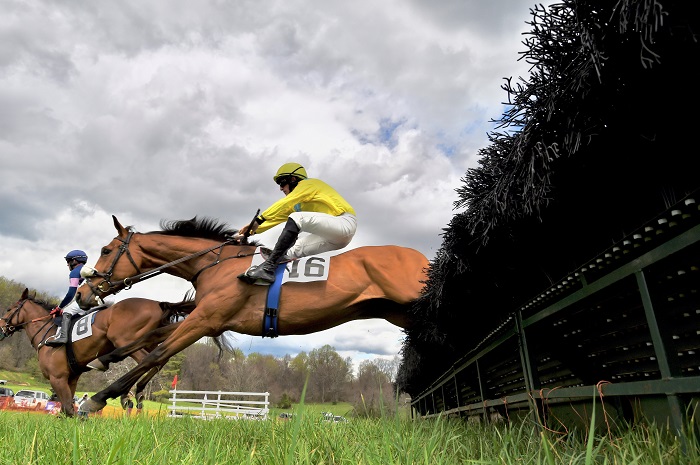 odptp22.maiden hurdle1.edited
