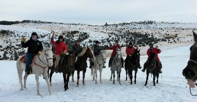 18 Big Sky Hounds the Carhart Field in snow Photo by