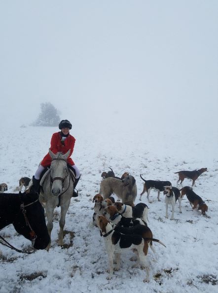 3 Big Sky Hounds after a pogonip that exfoliated all their checks Photo by