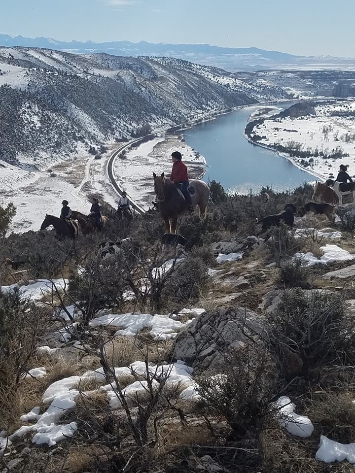 7 Big Sky Hounds by the Missouri Headwaters Photo by