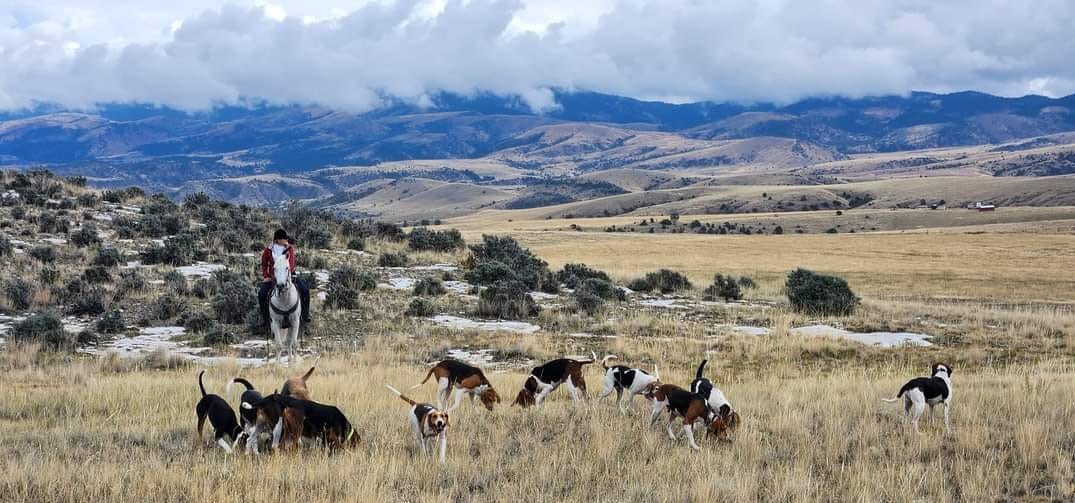Big Sky Hounds Renee Huntsman MFH photo by Brittany Baldwin crop