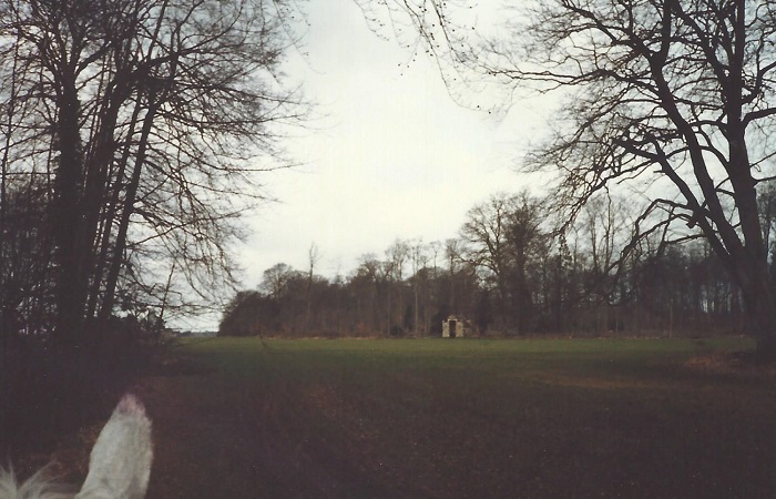 1983 Gallops in the Park 2 England.jpeg