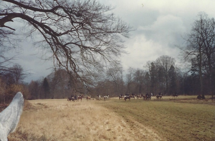 1983 Gallops in the Park The Hunt England.jpeg.jpeg