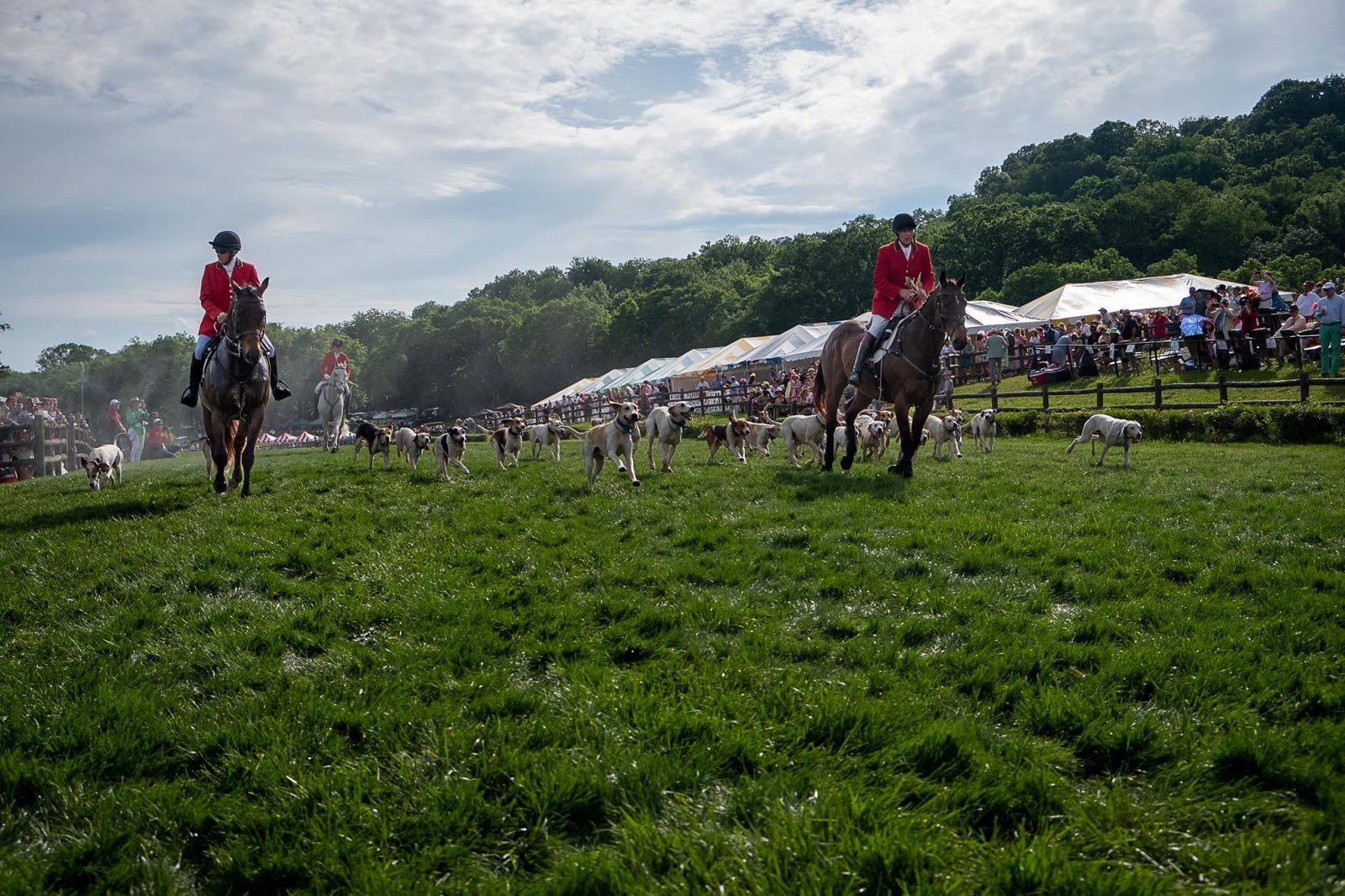 CMontgomery Iroquois Steeplechase 2023.JPG copy