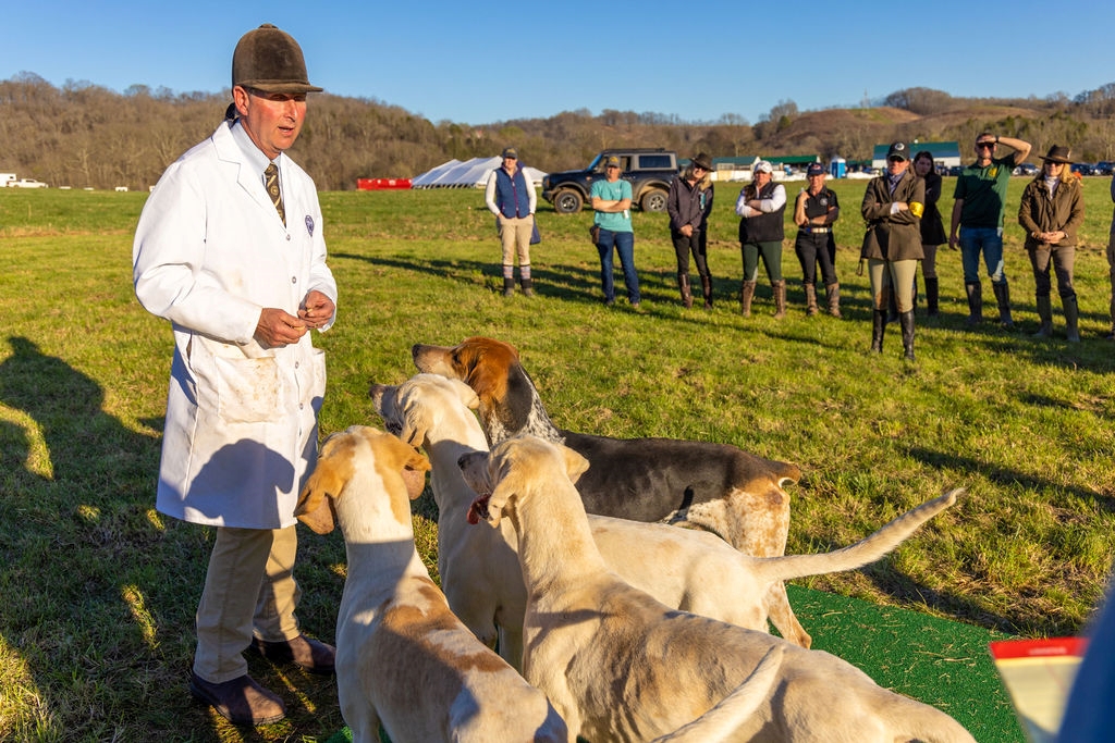CMontgomery JNAFHC Hound Judging Stallion Hounds