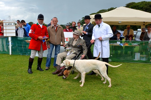 Captain Tom Morgan presents the South Tyrone Foxhounds Hon Whip Paul Kinane and huntsman Ryan Carvill for Beauty winner of the Isaac Bell Trophy