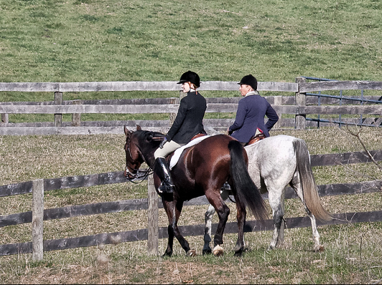 DDL fox hunting with Sue Downing
