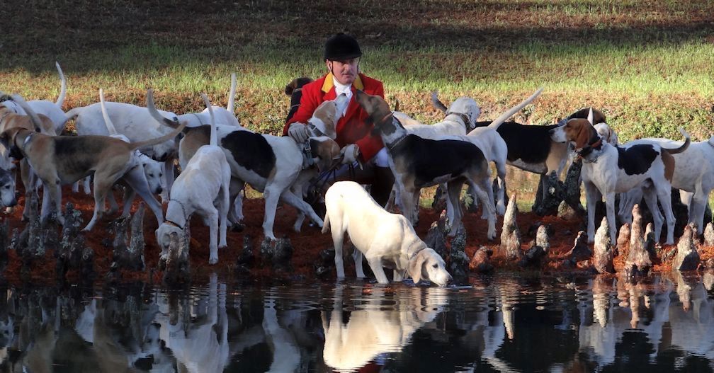 Kurt with Camden hounds