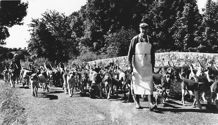 Lord Daresbury and Miss Atkinson walking out on a Sunday morning