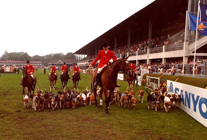 Michael Dempsey master and huntsman of the Galway Blazers Hounds parading twenty two and a half couple of hounds at the Dublin Horse Show in 1983.mullins