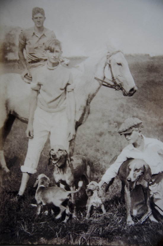 Poe 5
