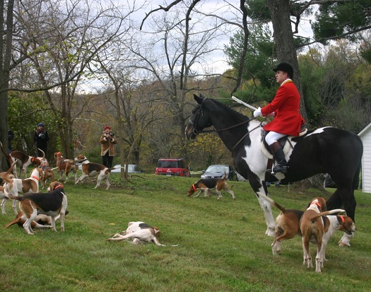 bozdan and hounds.cropped.laura riley