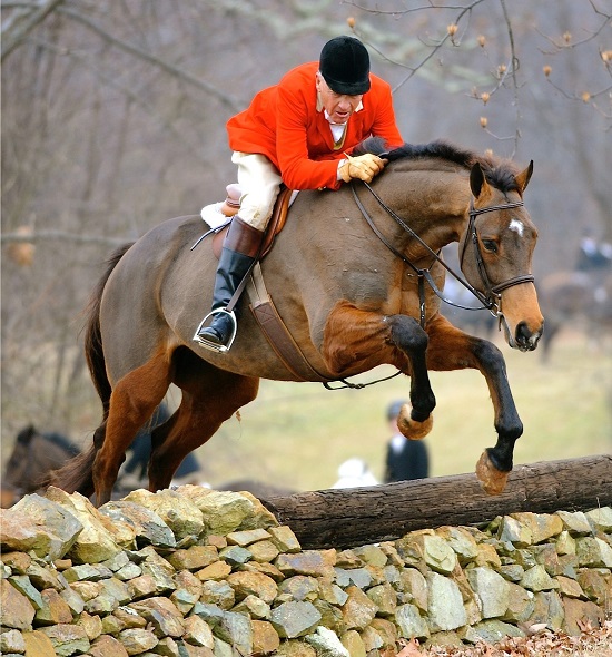 bucky reynolds over stone wall.lees