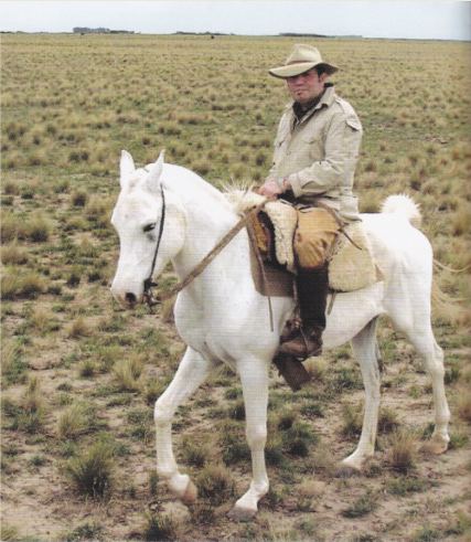chip anderson.argentina.buchy
