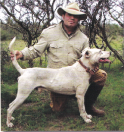 chip anderson