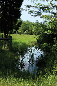 conservation1