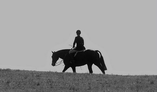 whipping-in while fox hunting