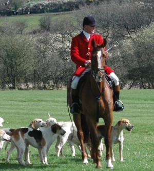 guy allman.middevon