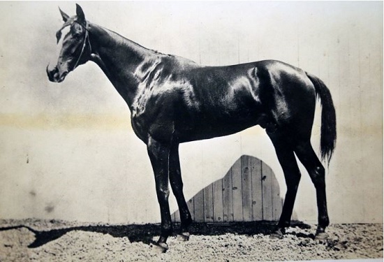 harry w smith.the cad.nsl