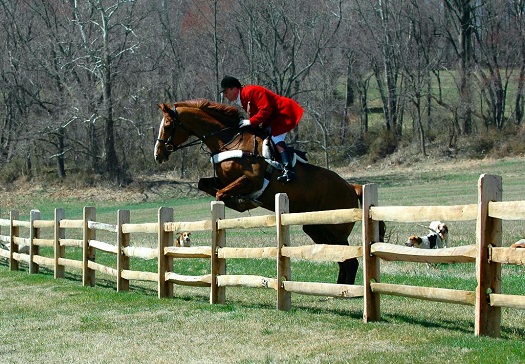 ivan dowling crop mullins