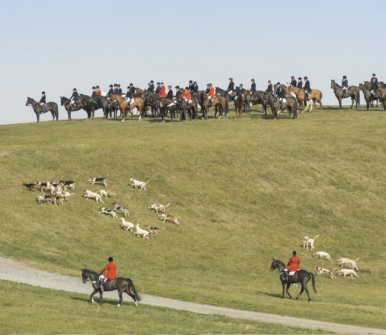 ivan dowling hounds field small jim graham