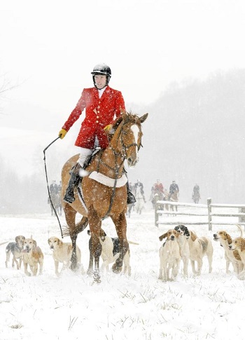 ivan dowling snow jim graham