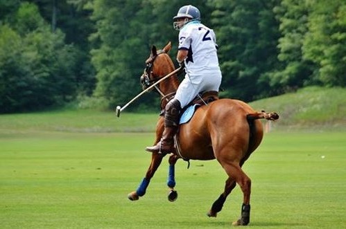 mason lampton.bliss polo