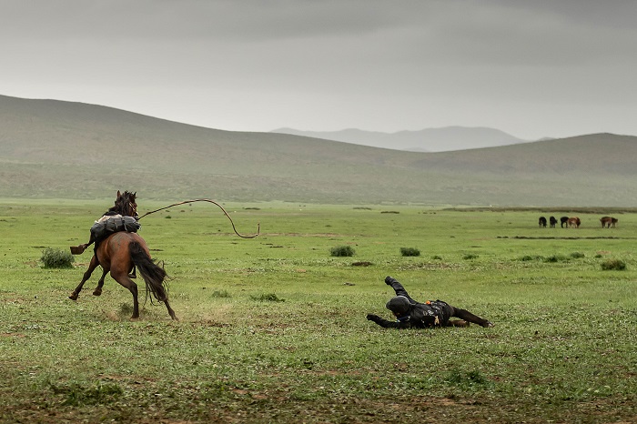 mongol19.tumble