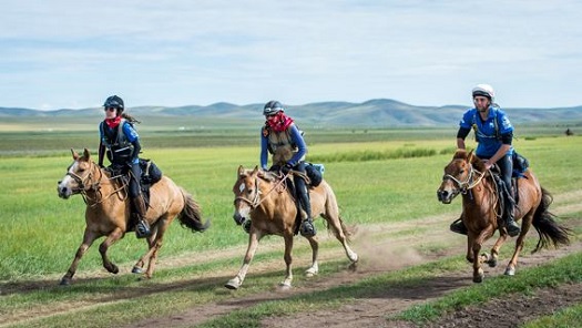 mongol derby.cath.barb.etc