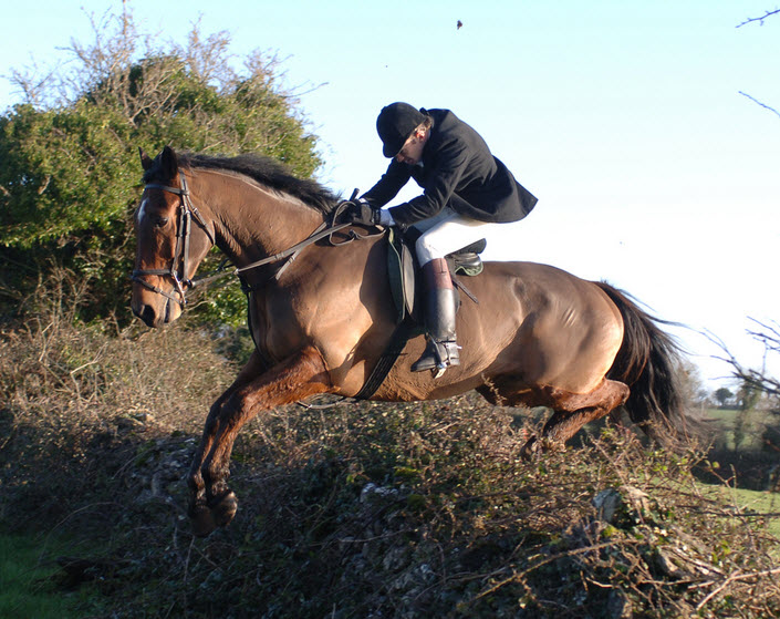 paul carberry.ownerbreeder