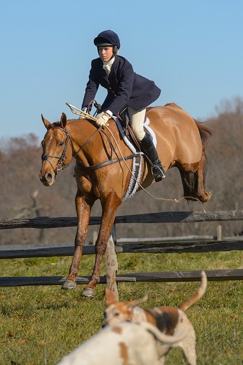stephanie boyer crop graham