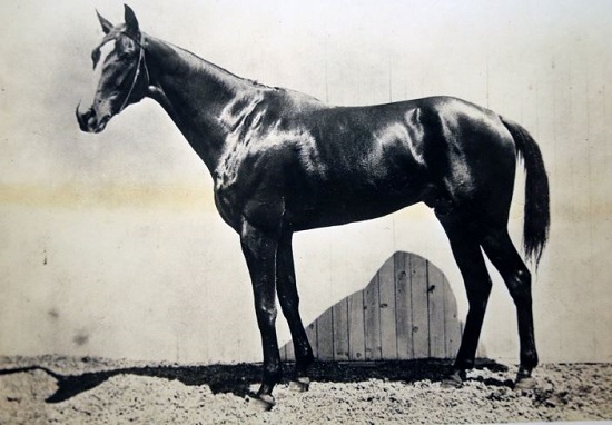 the cad