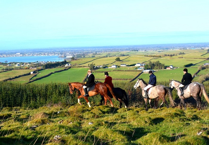 willie leahy fm.aille cross meet.noel mullins