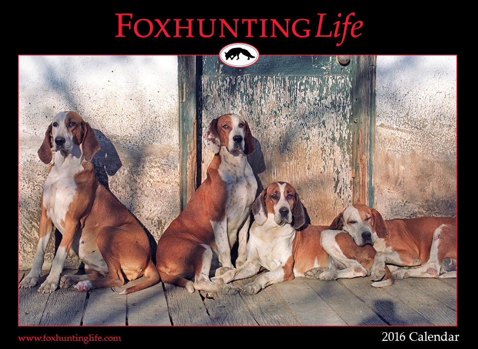 cover.2016 calendar