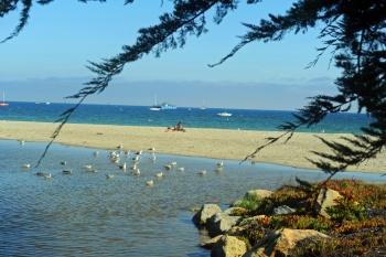 Day_5_Santa_Barbara_beach