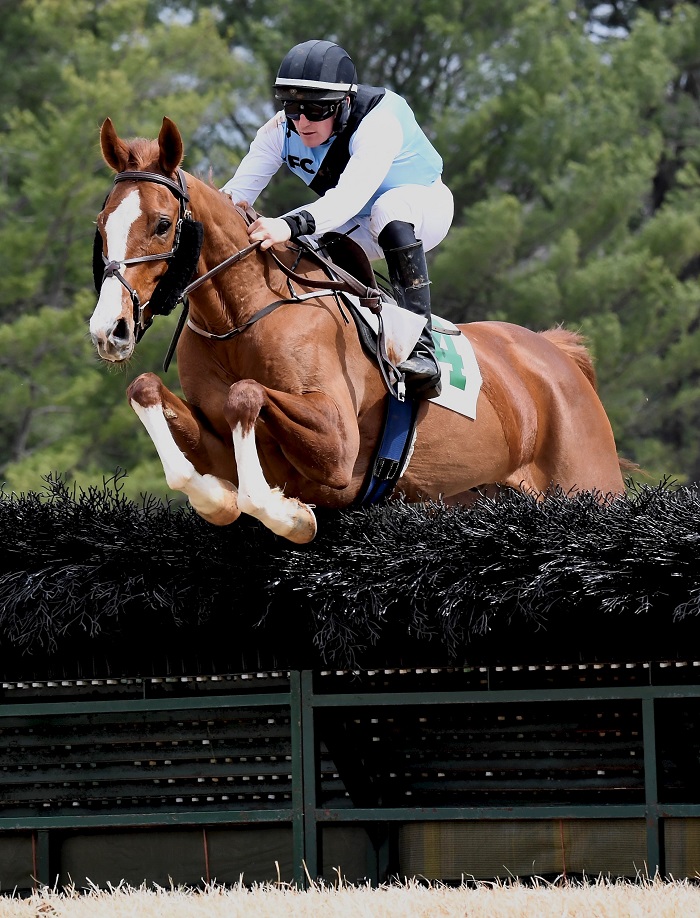 warentonptp22.maiden hurdle3