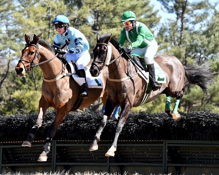 warrentonptp19.amnovhurdle.jpg