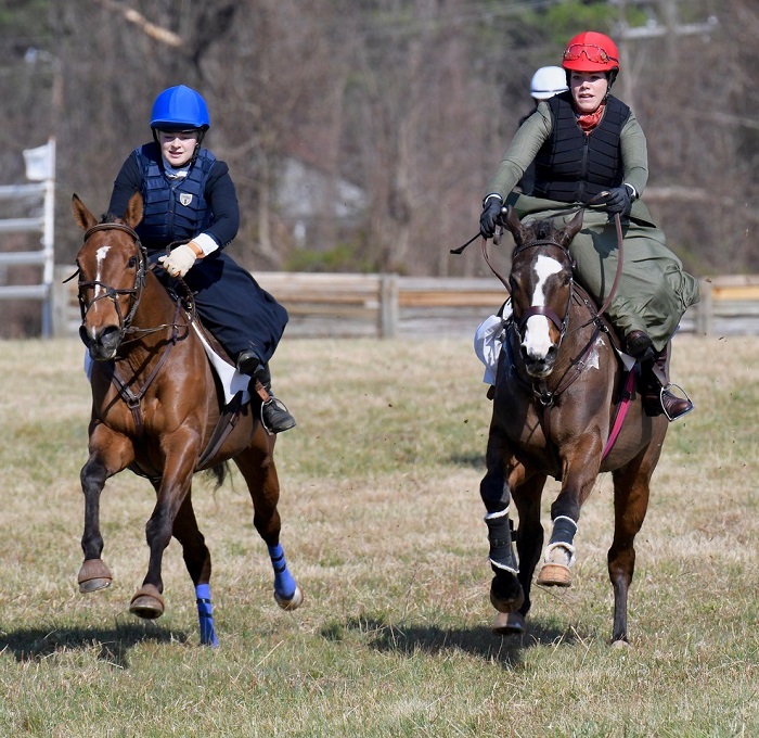 warrentonptp22.sidesaddle.lees