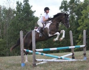 woodford.2012.1